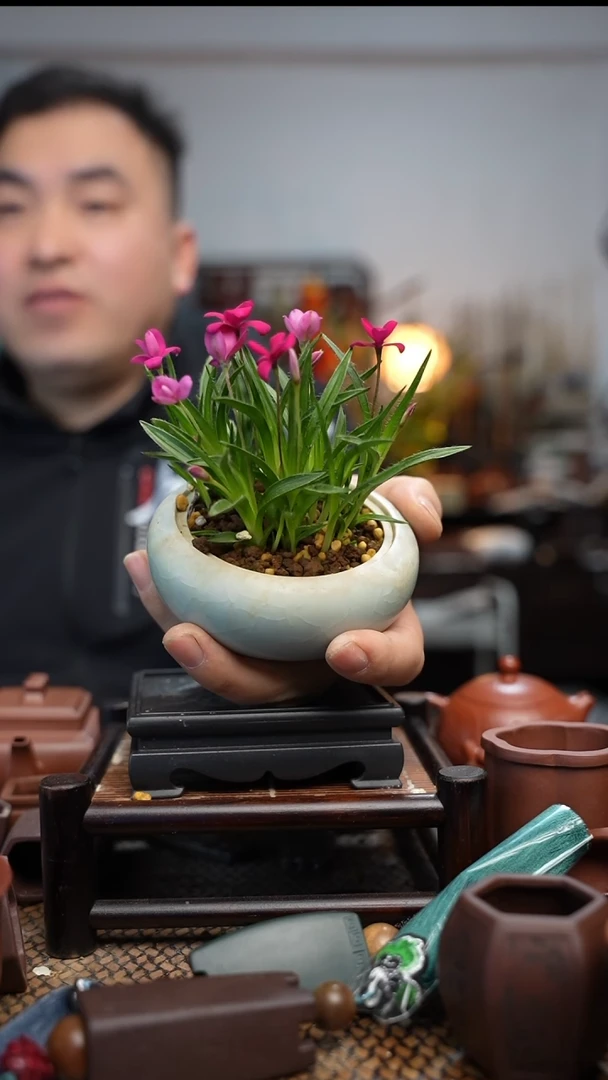 紫砂花盆長木軒精品紫砂