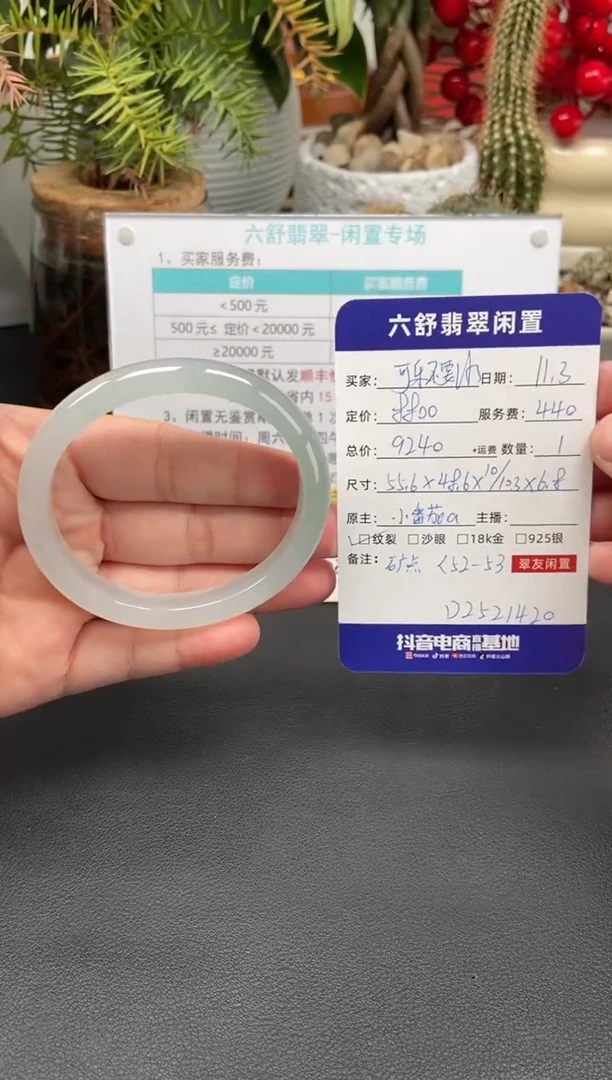 未镶嵌手镯翡翠?****冰D2521420
