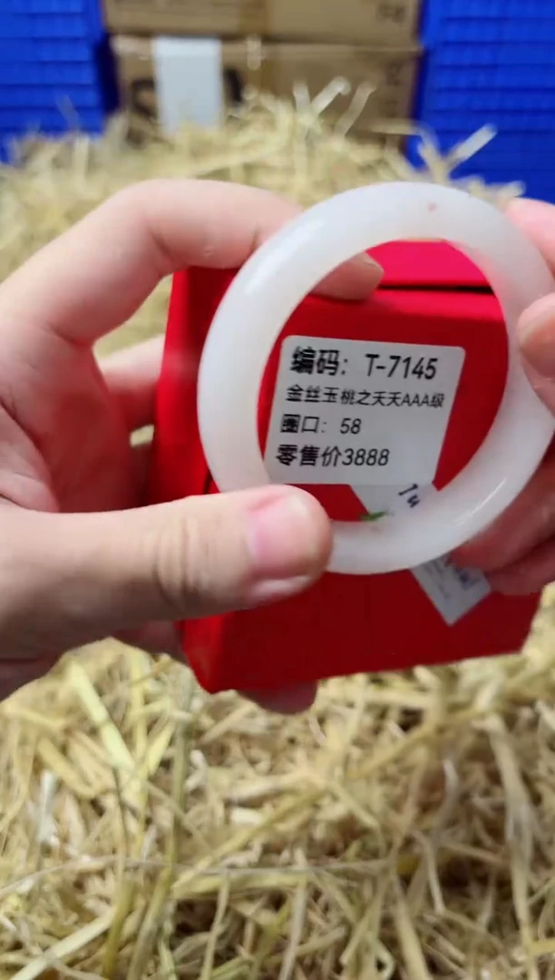 未镶嵌手镯石英质玉T-7145