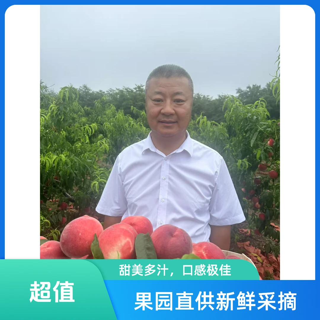 【张书记专属】7山东平度正宗水蜜桃小时候的味道脆软两吃新鲜采摘山东省