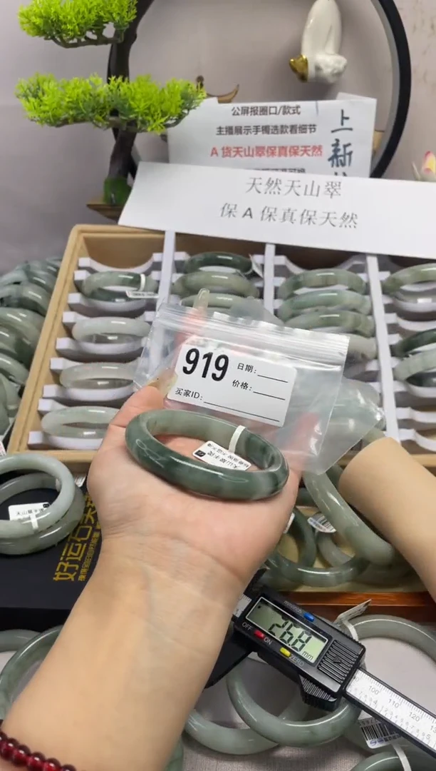 石英质玉（天山翠）手镯未镶嵌919