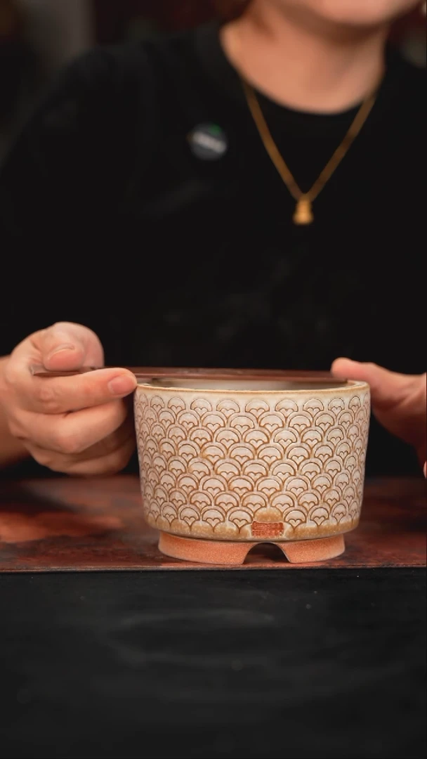 6-10-202花盆口径10.5