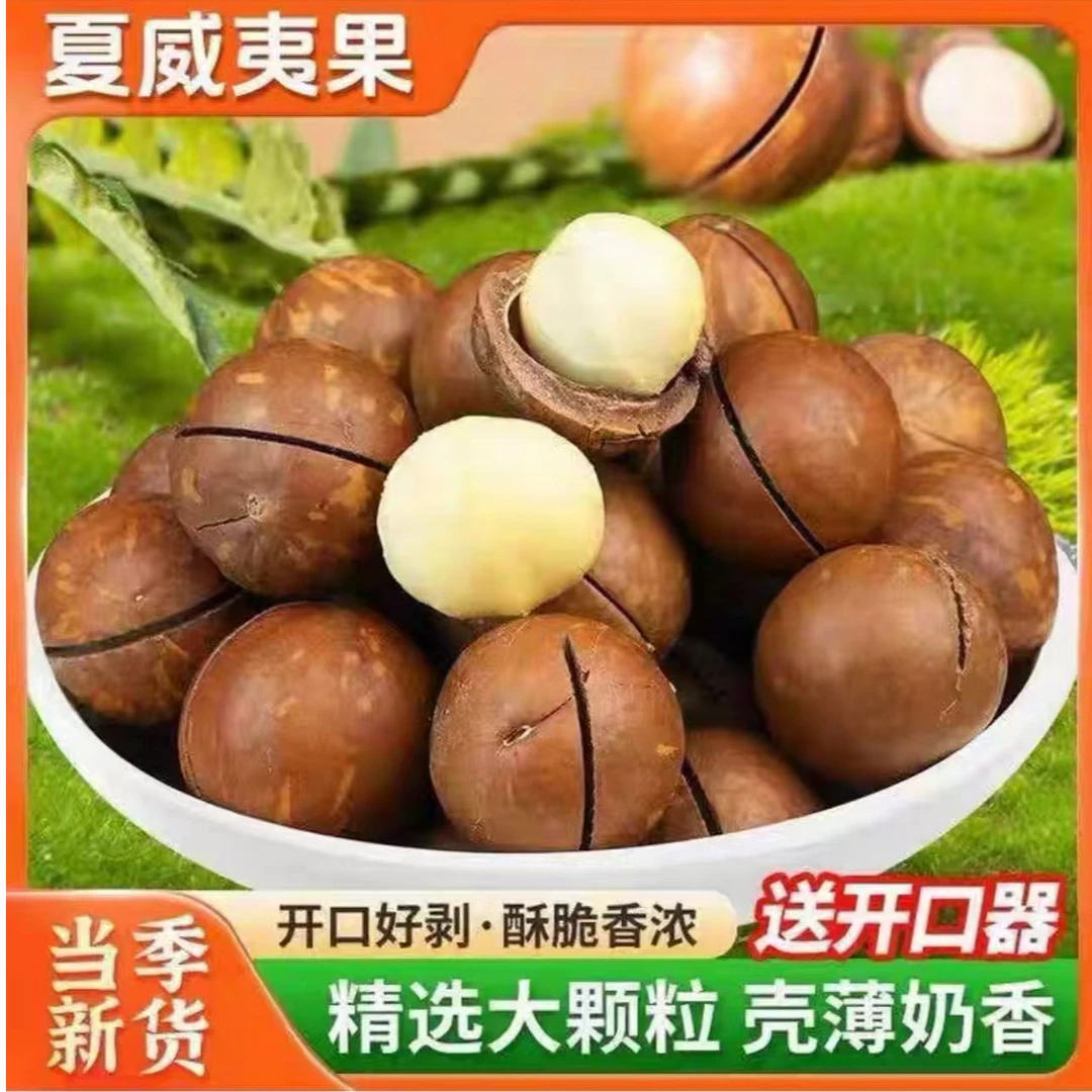 新货奶香味夏威夷果500g罐饱满酥脆大颗粒坚果炒货