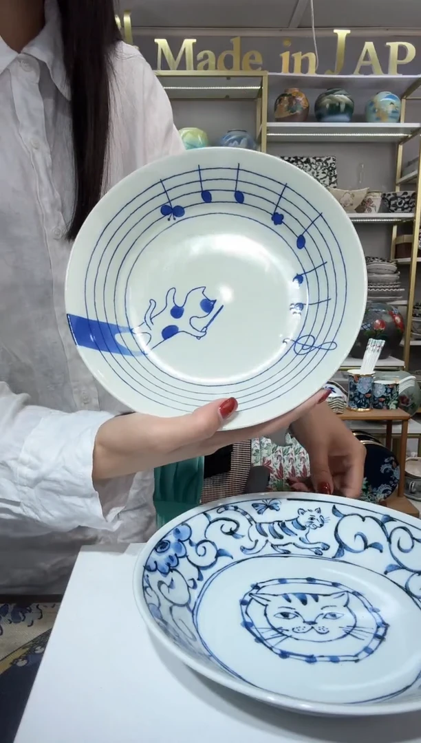 陶瓷20厘米深盘一只装2