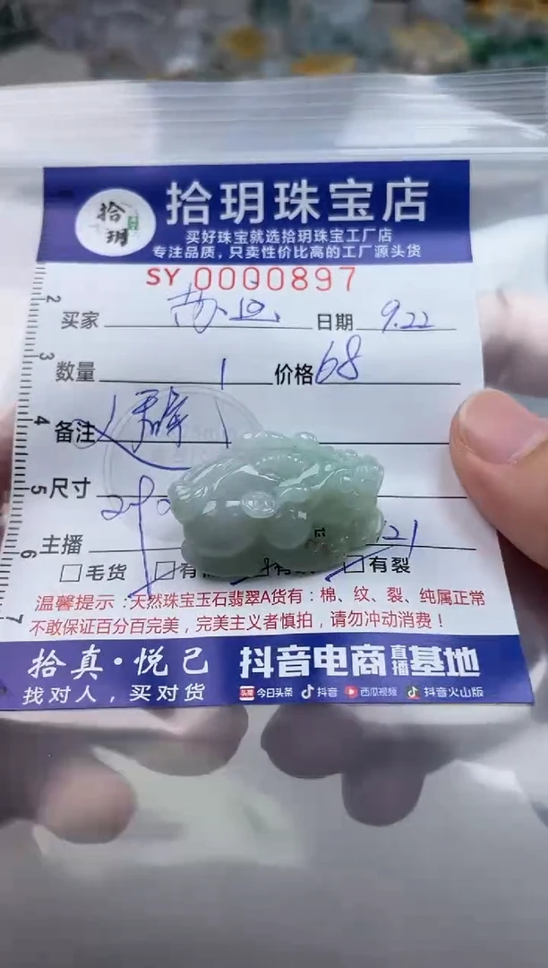 颈饰未镶嵌翡翠苏*宝翡翠挂件貔貅897