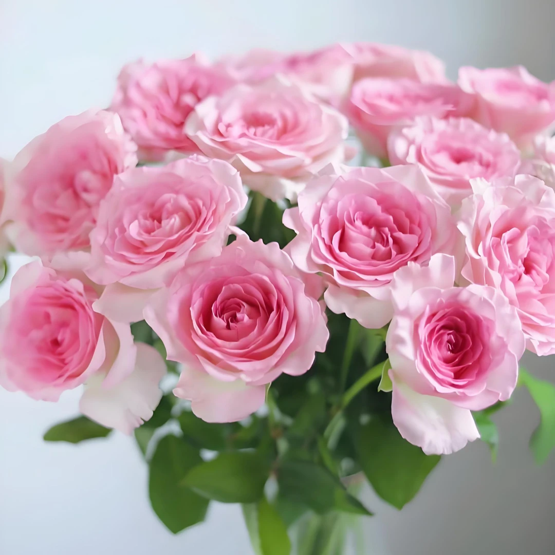 月姐专属『洛神10支』全场任意满两单鲜花顺丰包邮 3单送黄莺草鲜花直播批发次日达包邮