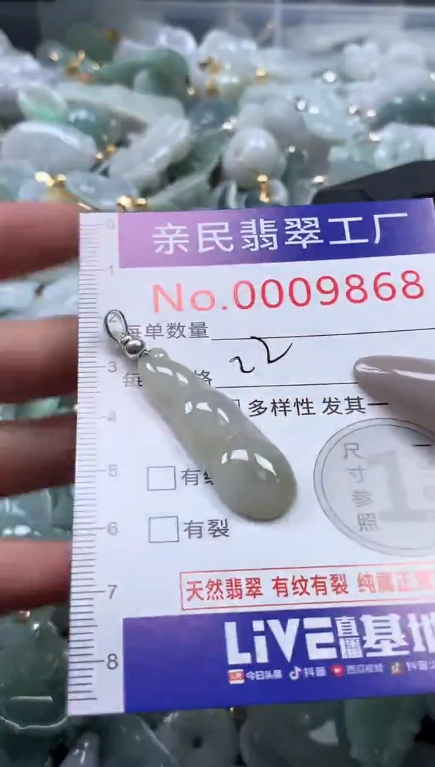 颈饰未镶嵌翡翠9868