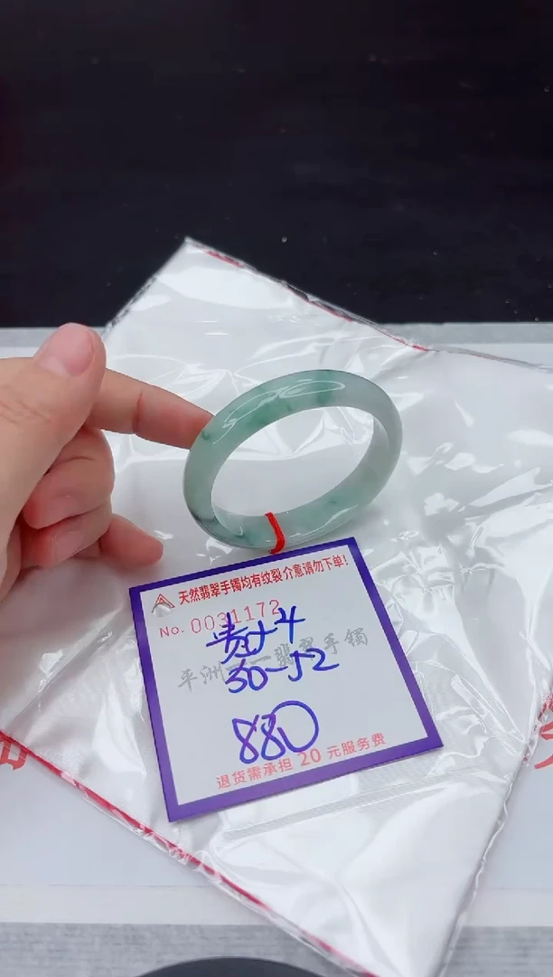 未镶嵌手镯翡翠11111
