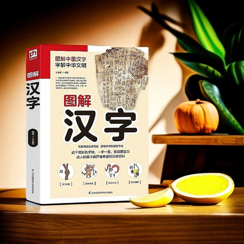 图解汉字甲骨文汉字识字说文解字隶书神奇的汉字国学传统文化书籍