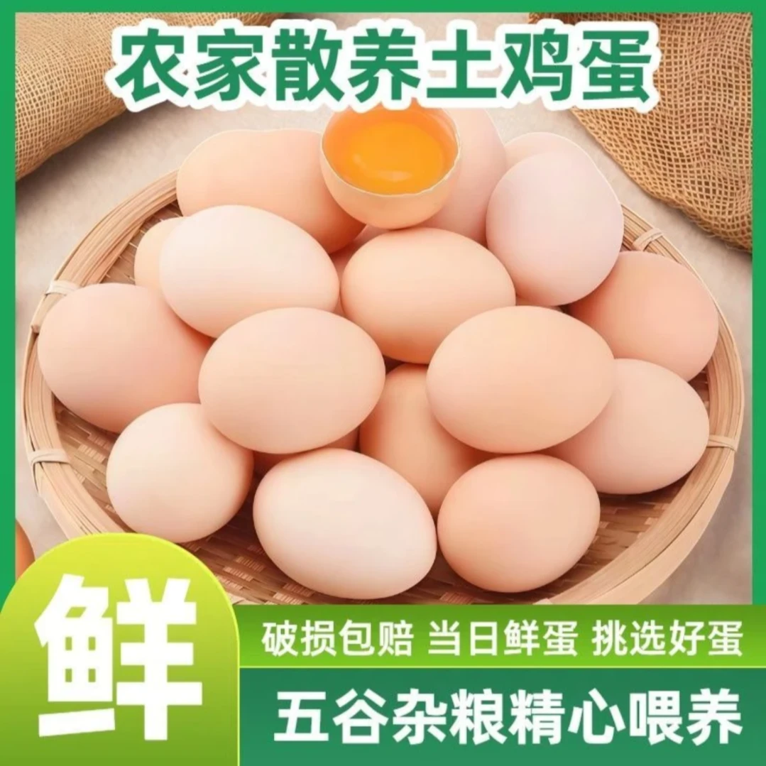 【五十枚】竹林土鸡蛋 单枚40-45克 营养丰富 农场直达