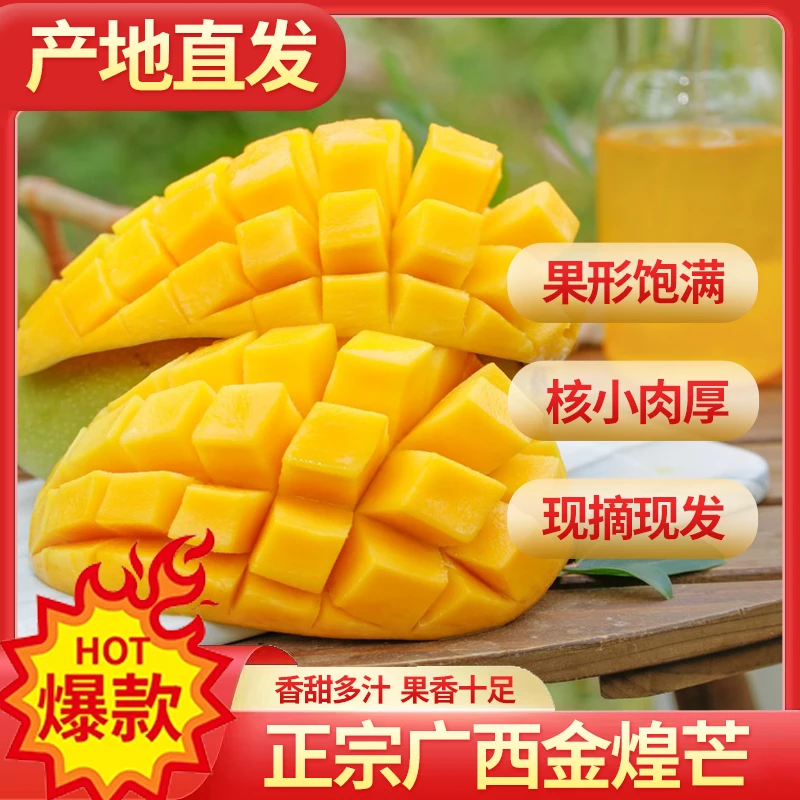 正宗金煌芒新鲜大芒果当季整箱热带肉厚多汁现摘直发包邮饱满水果