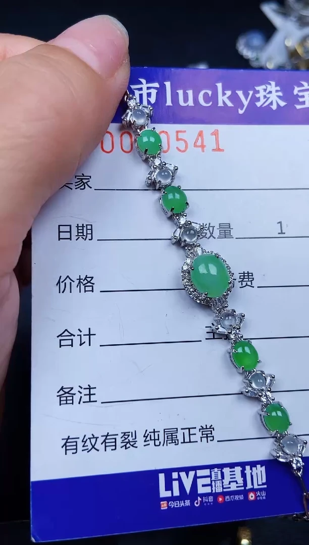 翡翠银S925镶嵌颈饰0541