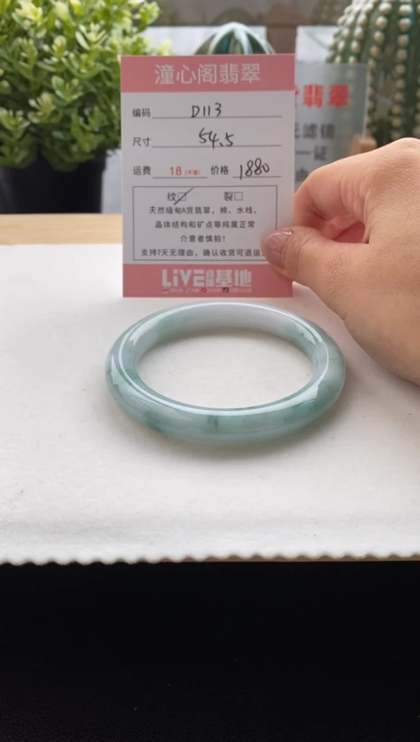 未镶嵌手镯翡翠54.5圈口 编码D113