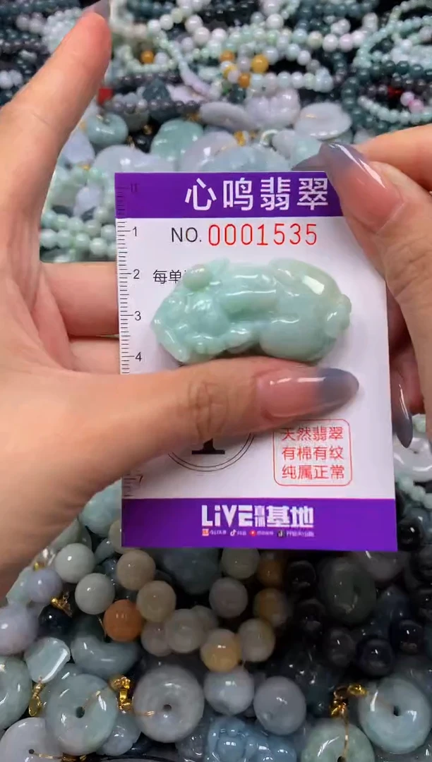 颈饰未镶嵌翡翠闪购001535