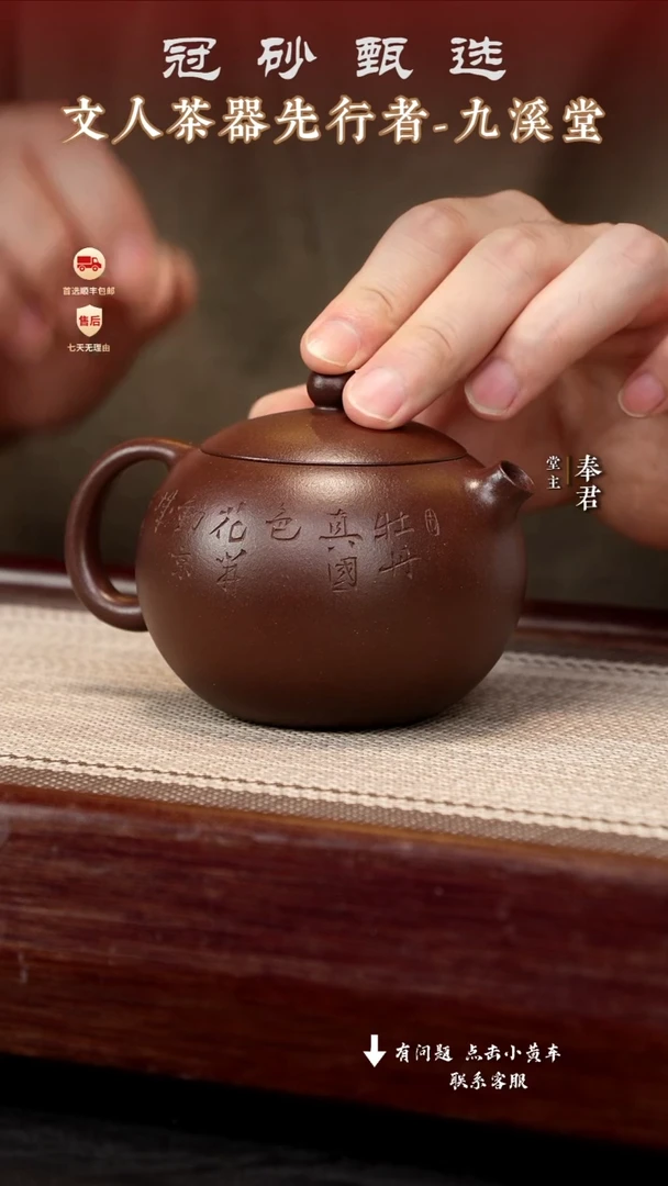 茶壶紫砂九溪堂壶s10