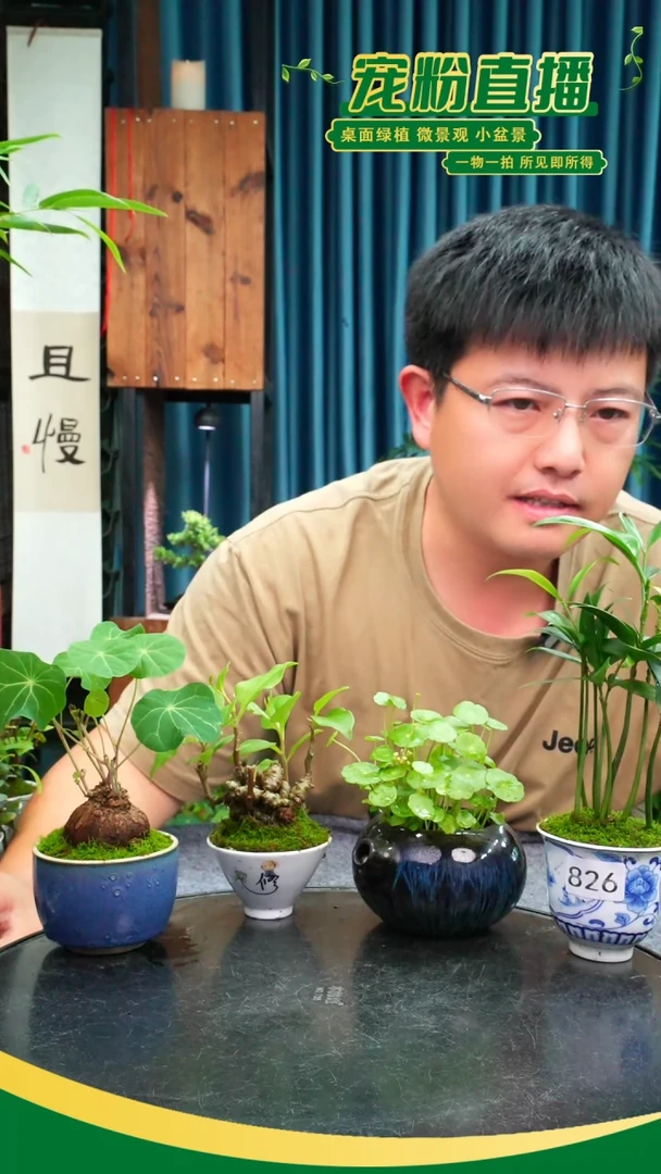 无花朵浅****~苔藓微景观826号