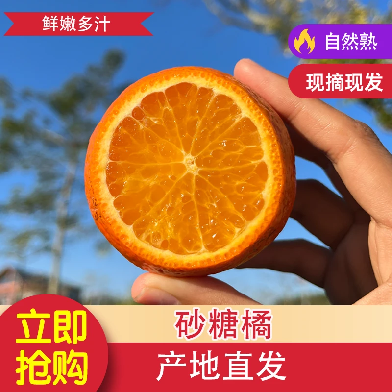 正宗沙糖桔广西水果薄皮新鲜甘甜当季现摘现发爆甜多汁包邮好吃