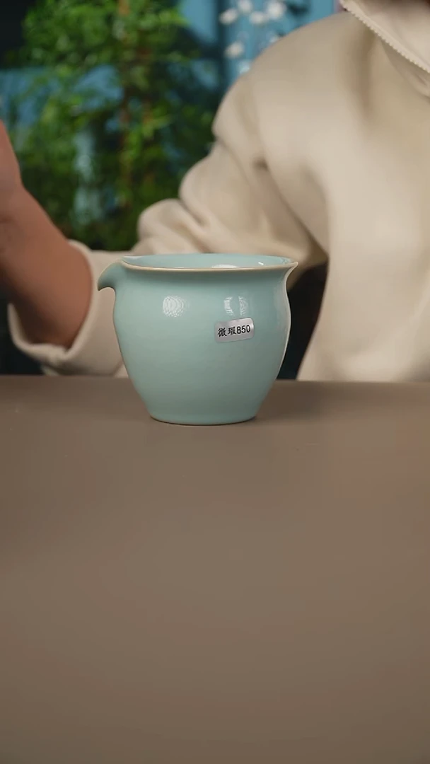赵志强公道微暇