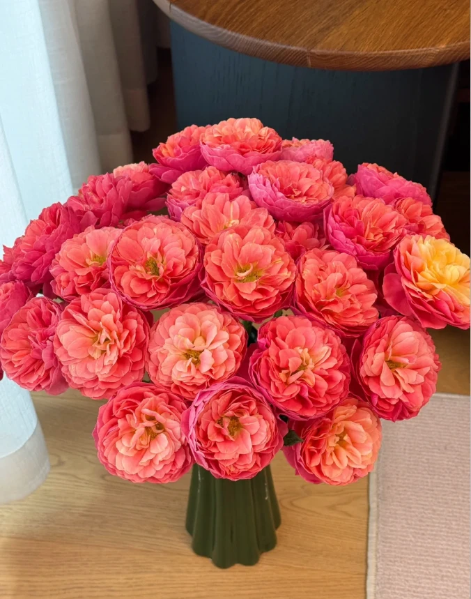 【植艺】血橙果汁 拍满三单及以上顺丰空运包邮10支装%20不售后