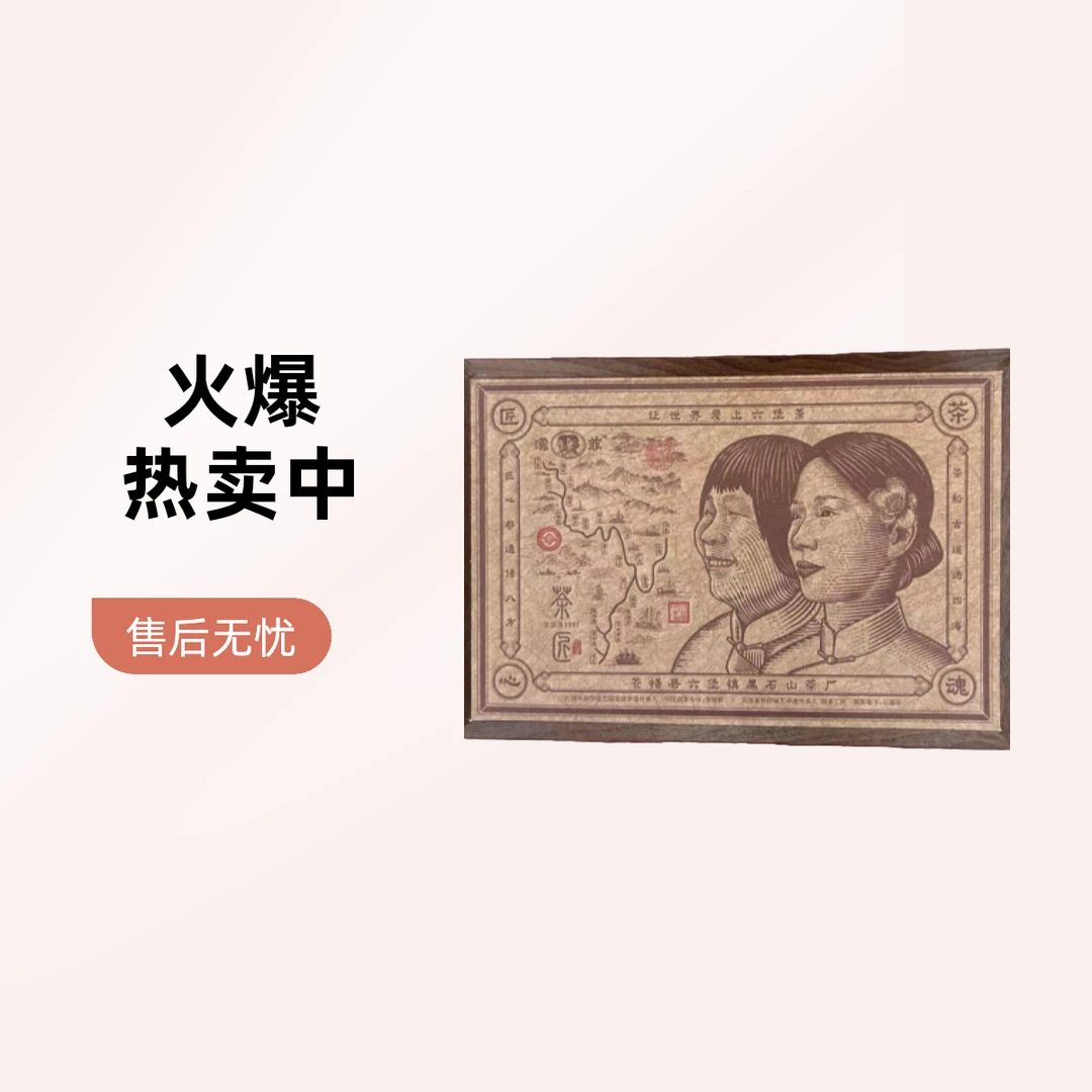 懂茶帝大师茶韦洁群2007年茶匠（六堡茶紧压茶）216g/砖