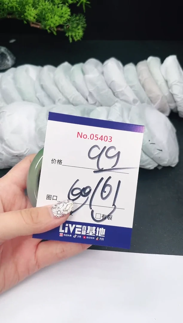 未镶嵌手镯翡翠05403