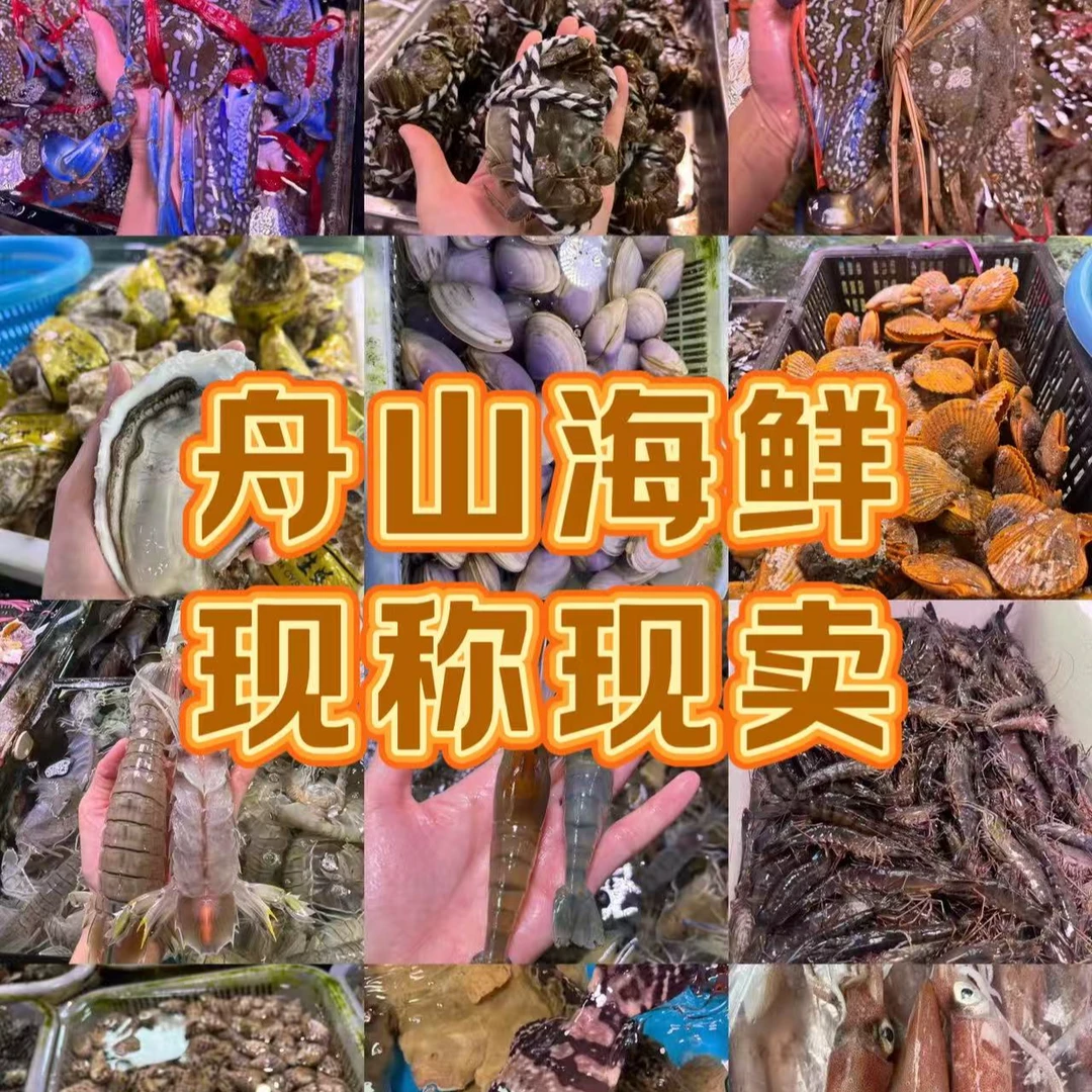 舟山大海鲜现称现拍6-8两/条 6条