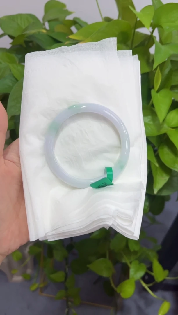 未镶嵌手镯翡翠小*包00006660