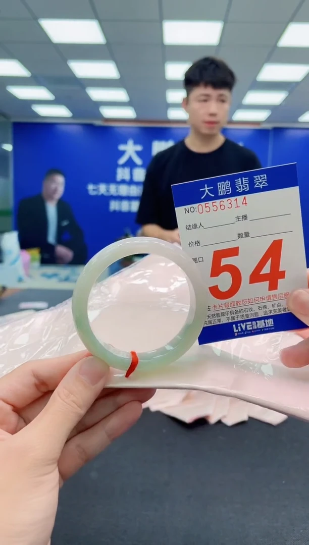 未镶嵌手镯翡翠AAAAAAAAA