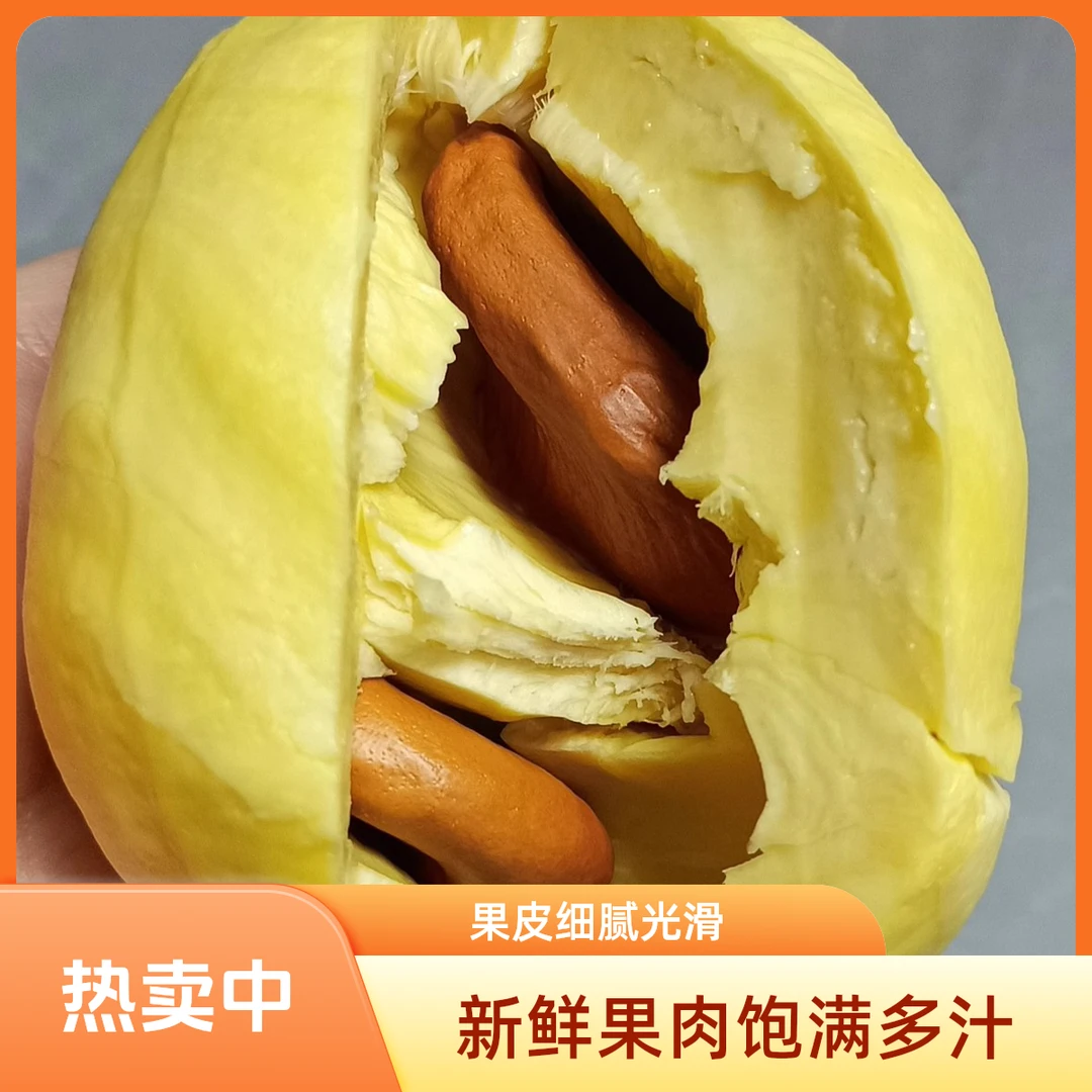 金枕鲜榴莲核小一果一重默认现场开果金枕泰国越南