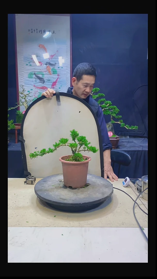 无花朵八*.1111111111111