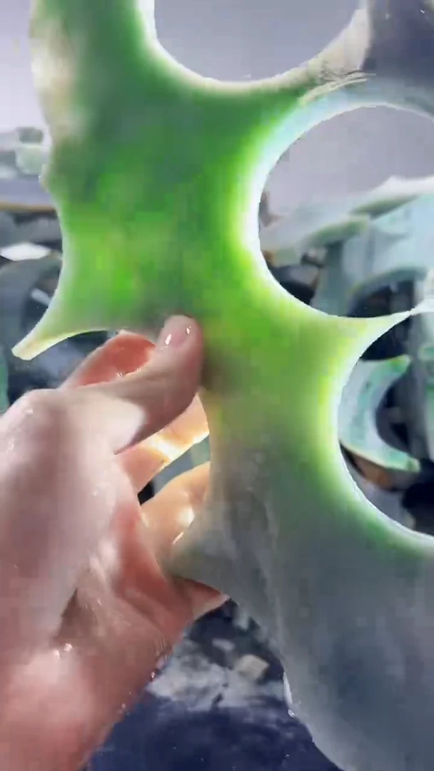 裸石翡翠缅甸翡翠A货文639
