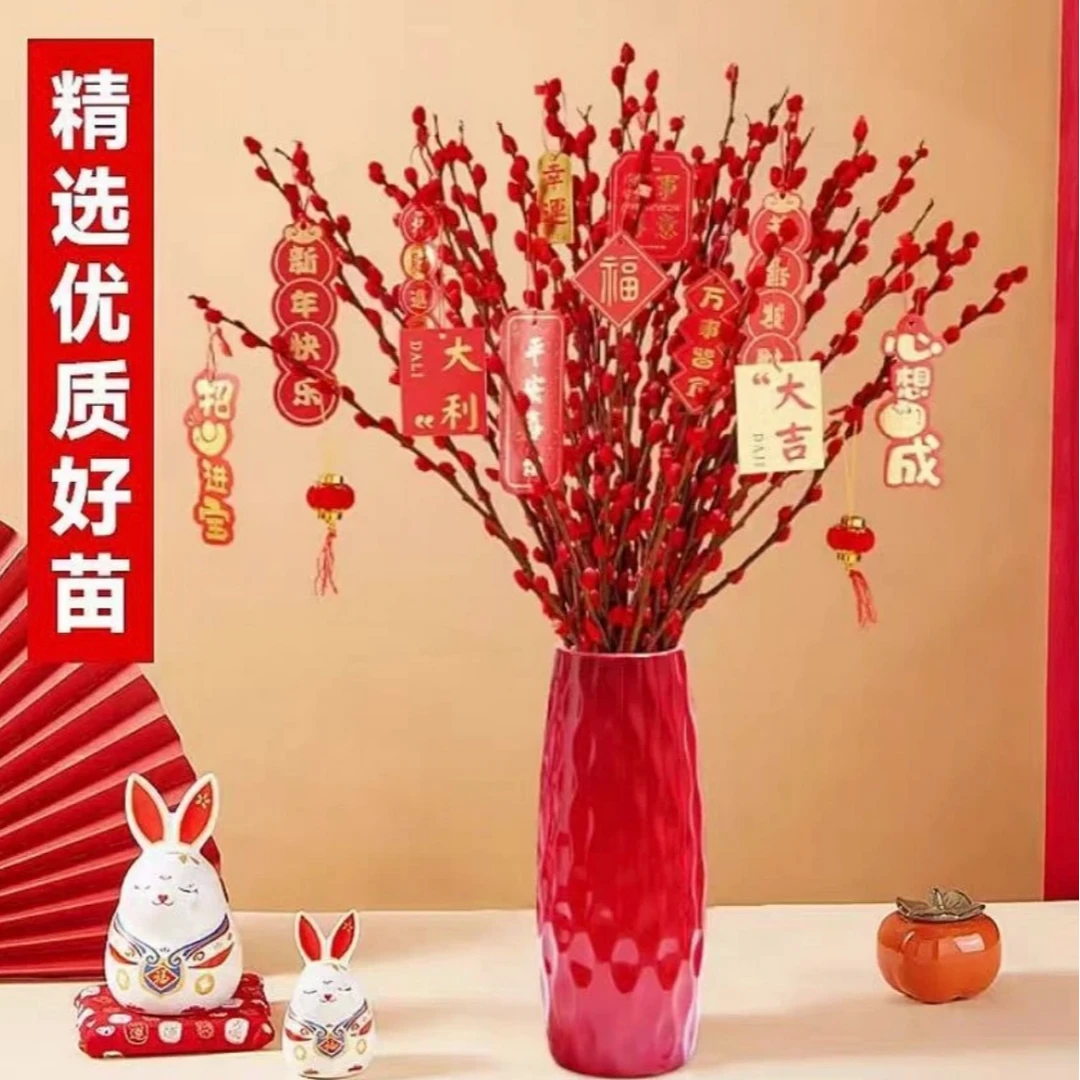银柳鲜枝银柳真花喜庆年宵花干花盆栽新年居家摆放绿植室内装饰