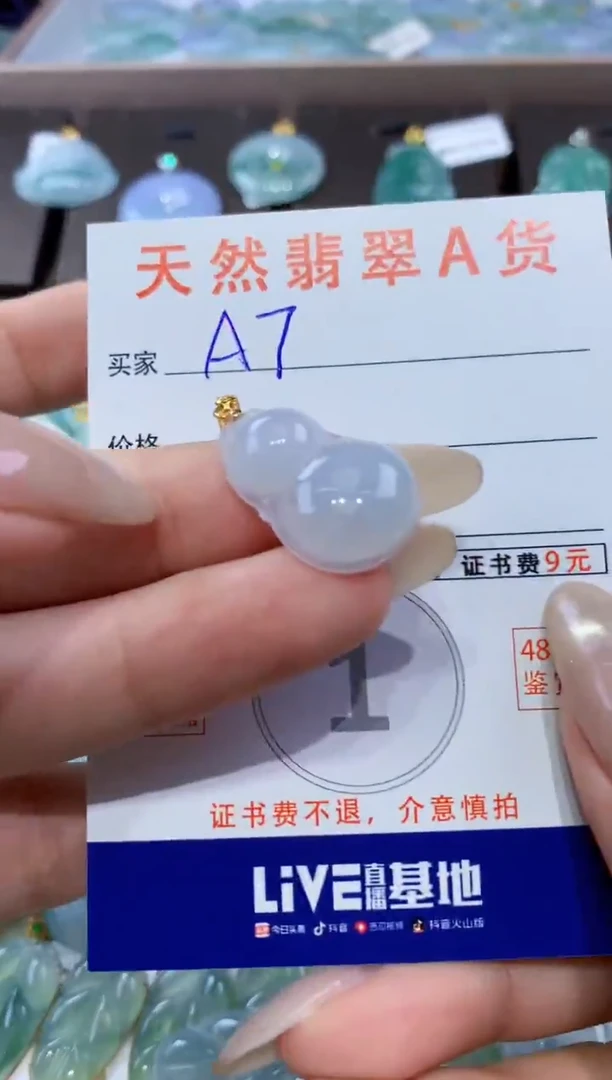 颈饰未镶嵌翡翠天然翡翠A货挂件