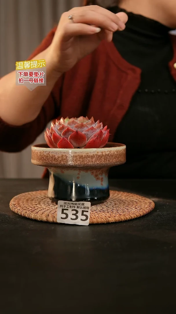 瓷片535内口径约12 外高约8