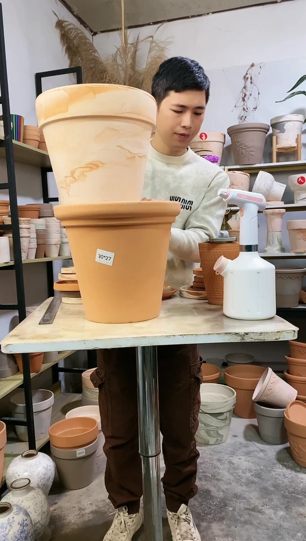 【闪购商品】红陶30红平面2个+31玛奇朵1个 3盆3托