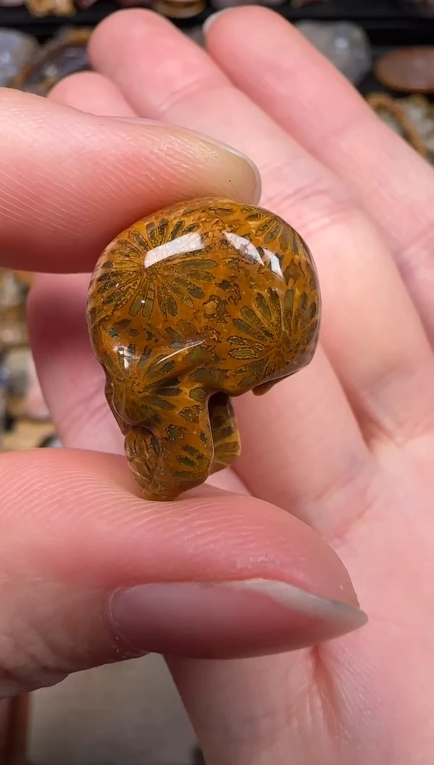 硅化珊瑚（珊瑚玉）未镶嵌颈饰522