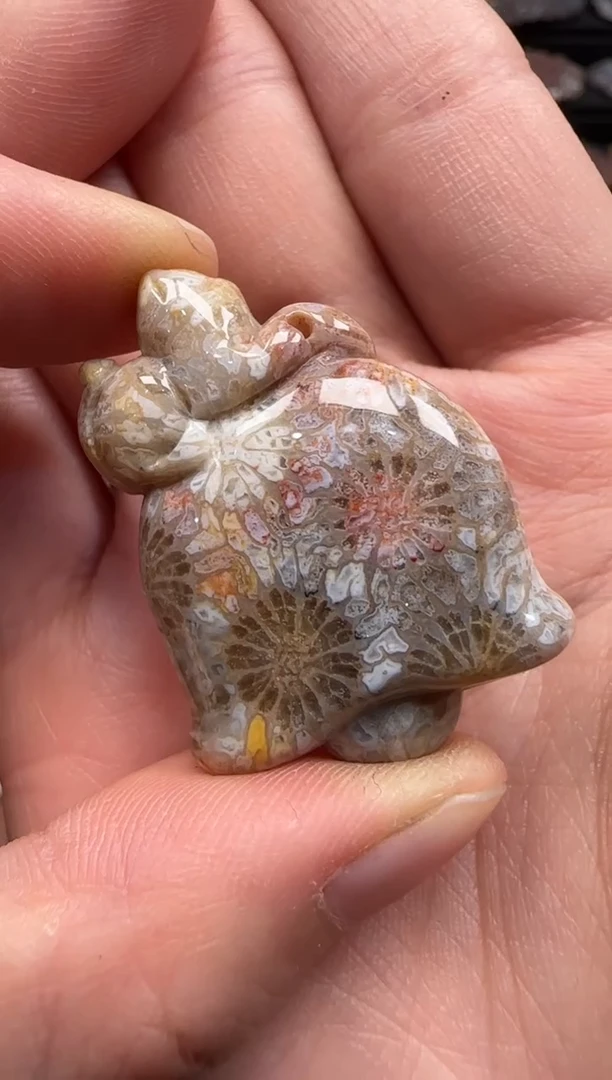 【闪购商品】硅化珊瑚（珊瑚玉）颈饰未镶嵌088