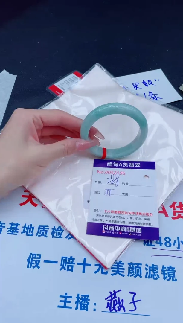 未镶嵌手镯翡翠288
