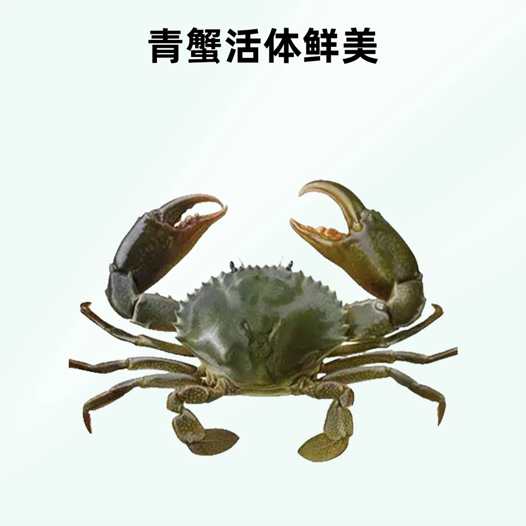 【货发出概不拒收】特大公蟹海蟹肉满[介意断脚慎拍.勿放冰箱]
