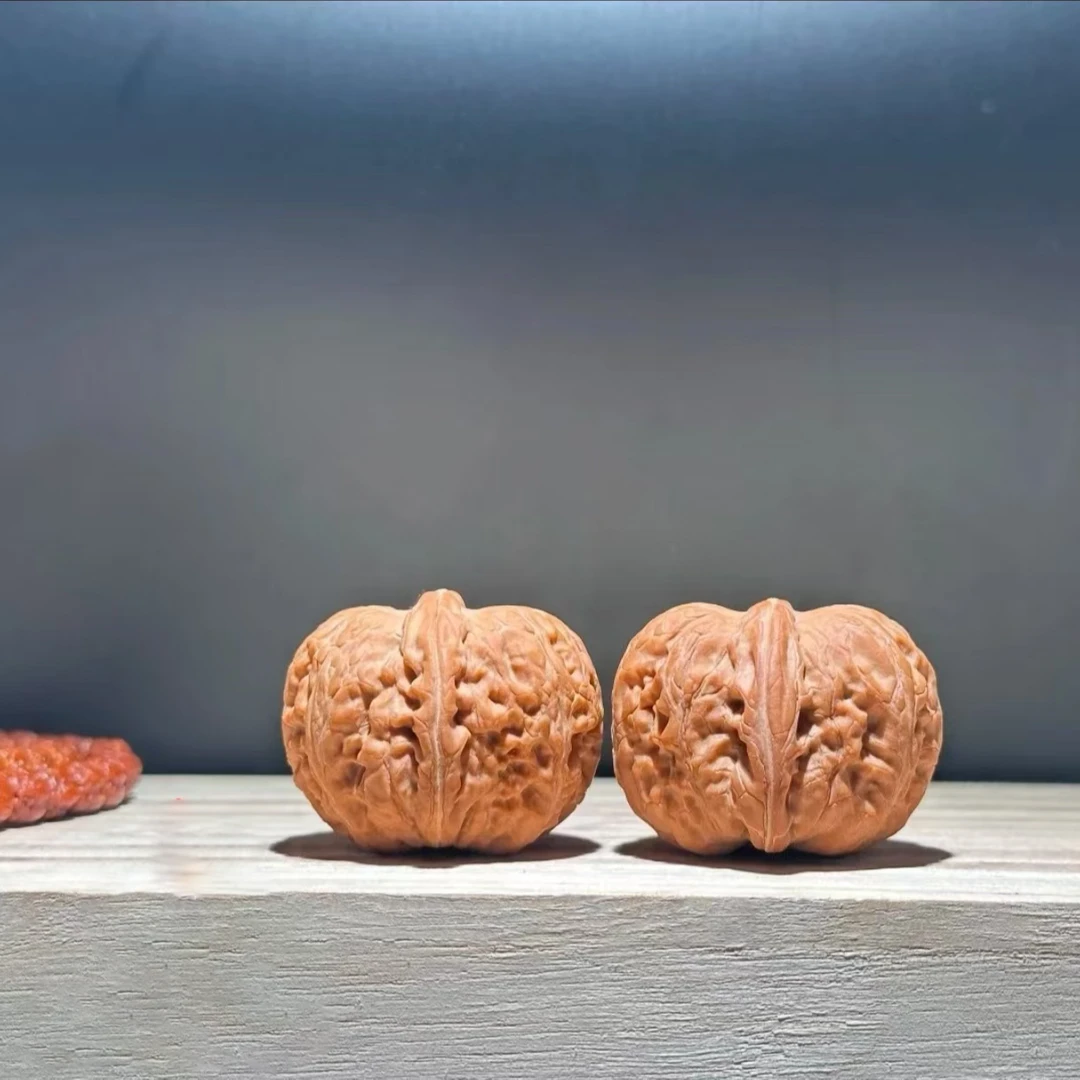 涞水核农一手货源平谷元宝