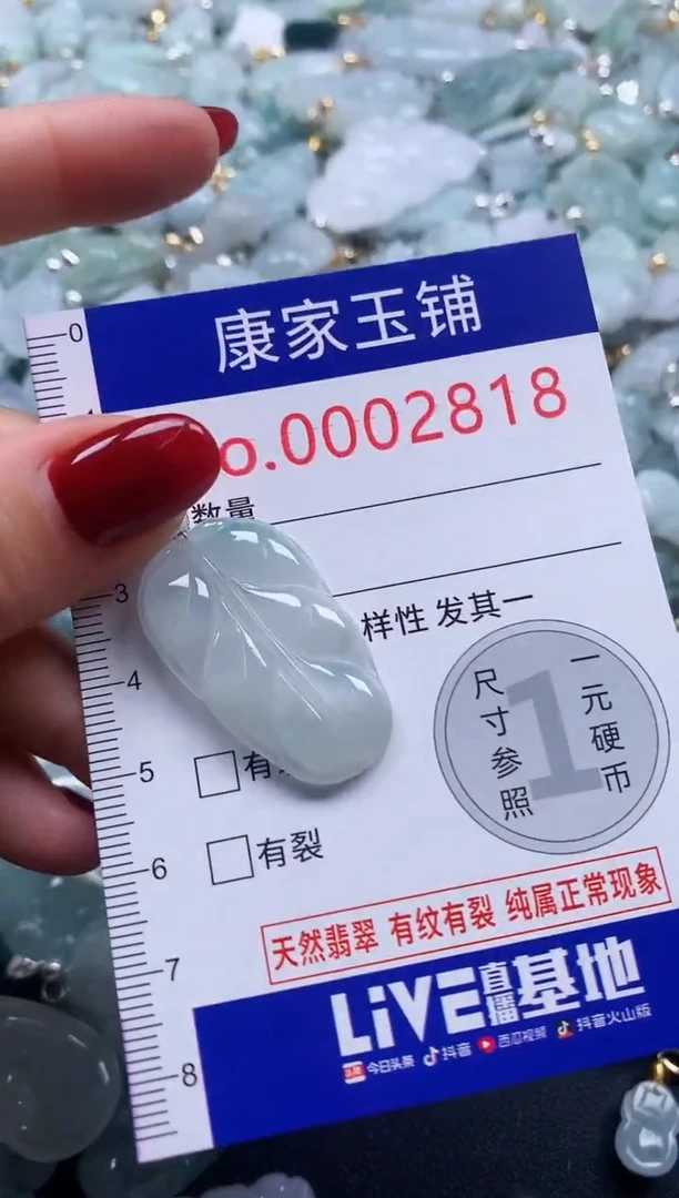 颈饰未镶嵌翡翠2818