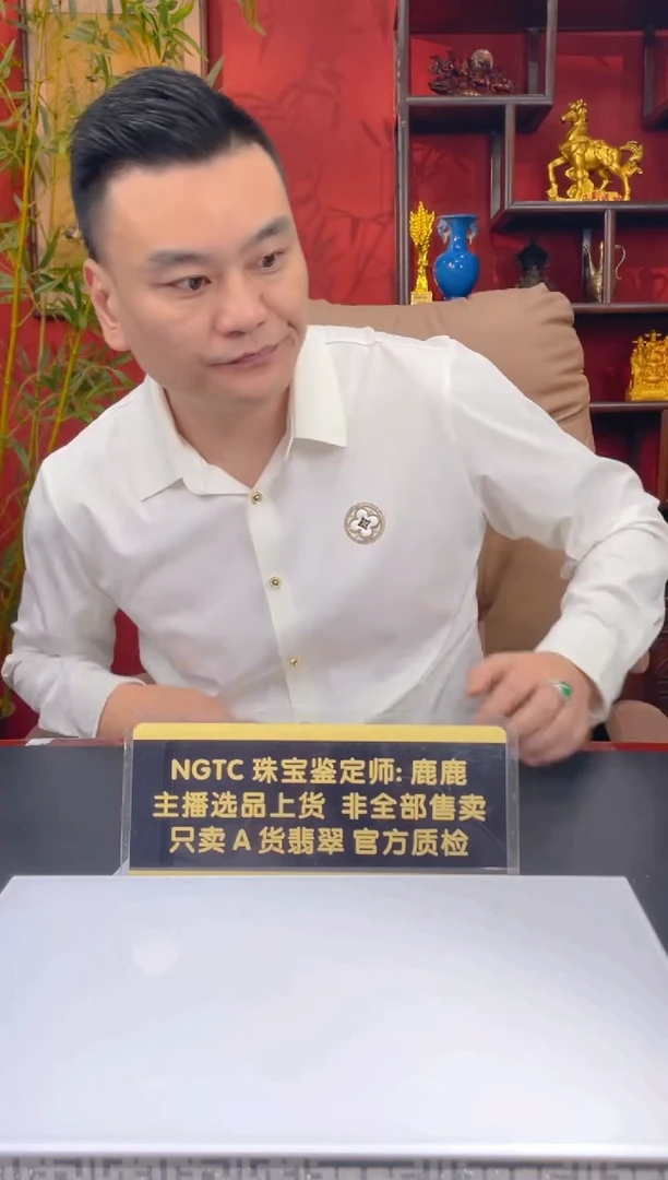 颈饰未镶嵌翡翠可**腿闪购毛货链接ZYW0