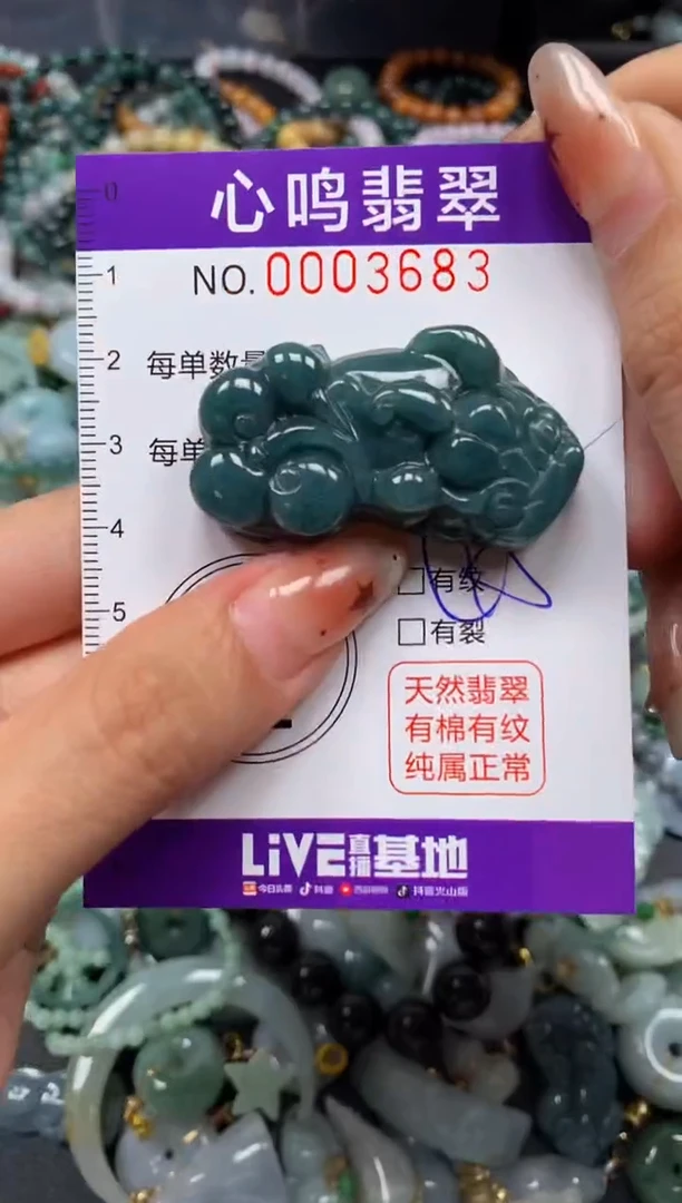 翡翠未镶嵌颈饰闪购003683