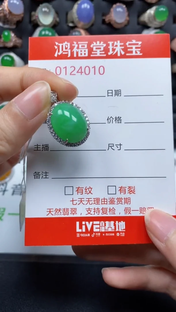 颈饰银S925镶嵌翡翠4010