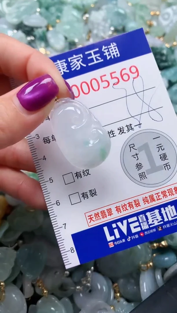颈饰未镶嵌翡翠5569