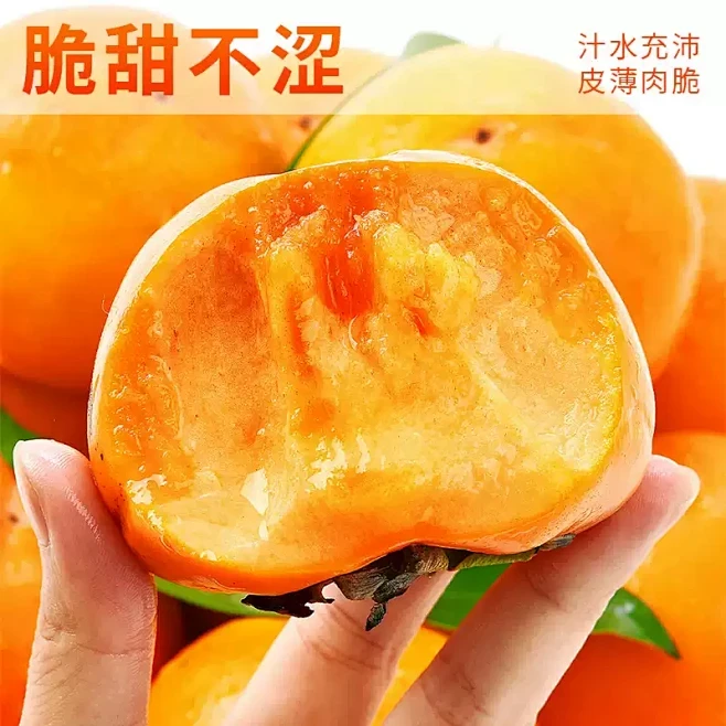 【精品果】正宗现摘巧克力柿子应季水果脆甜新鲜当季冰糖无核整箱装