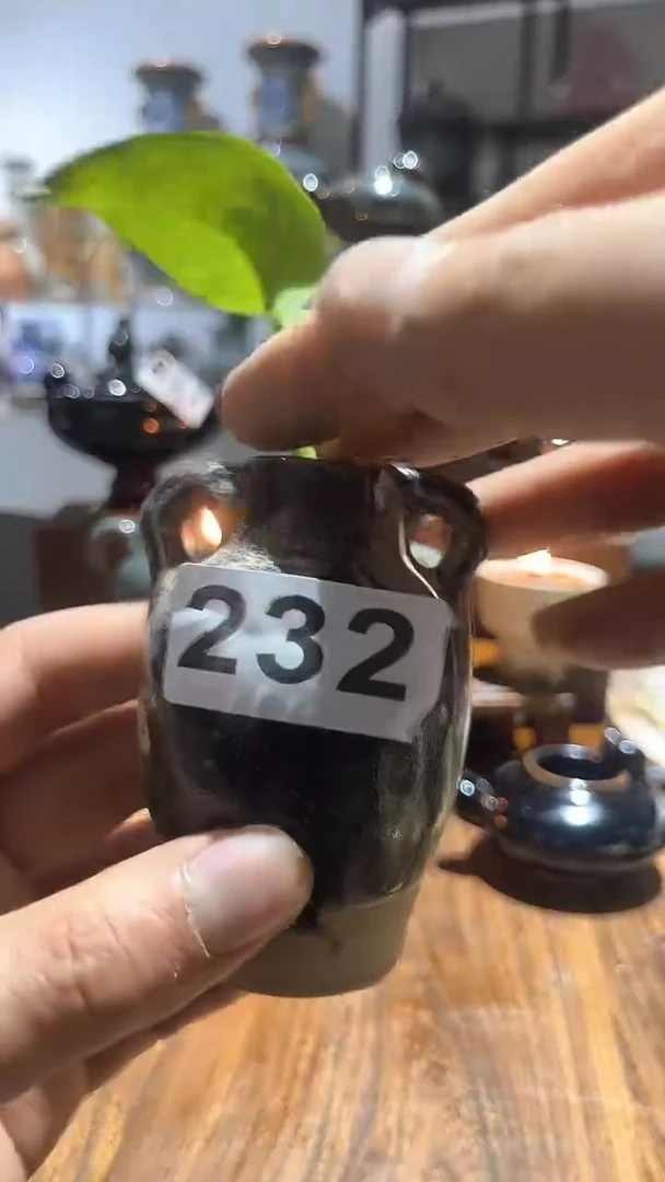 【闪购商品】摆件