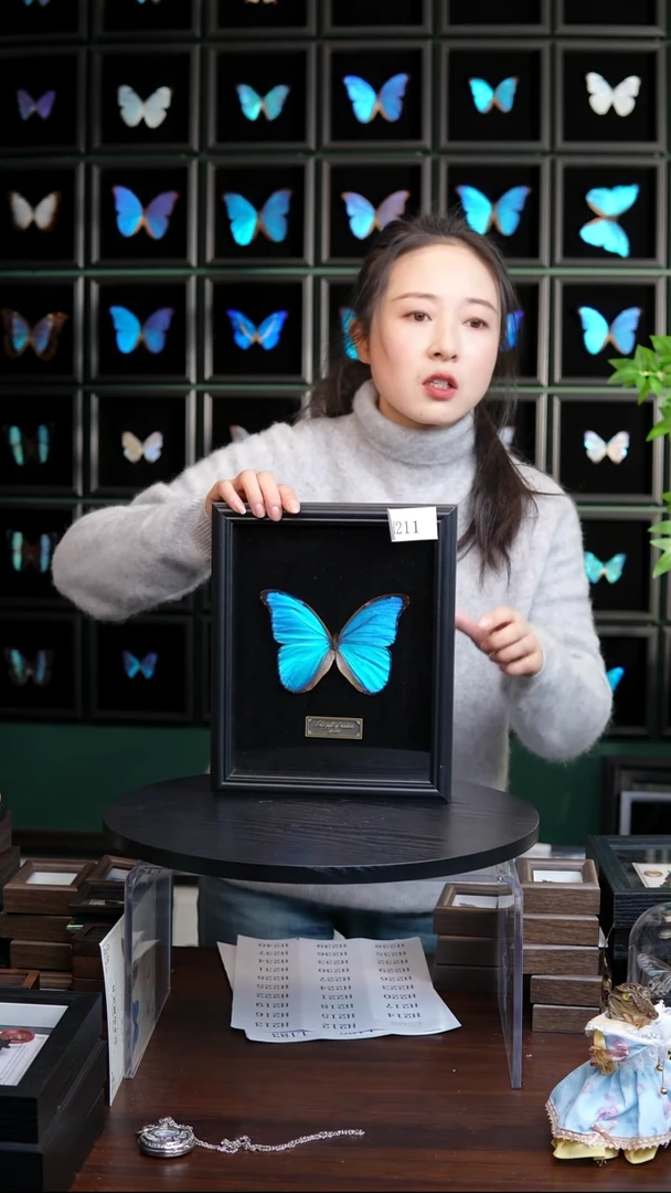微瑕蝴蝶标本摆件一口价H211