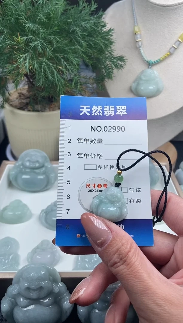 颈饰未镶嵌翡翠纯天然A货翡翠2990