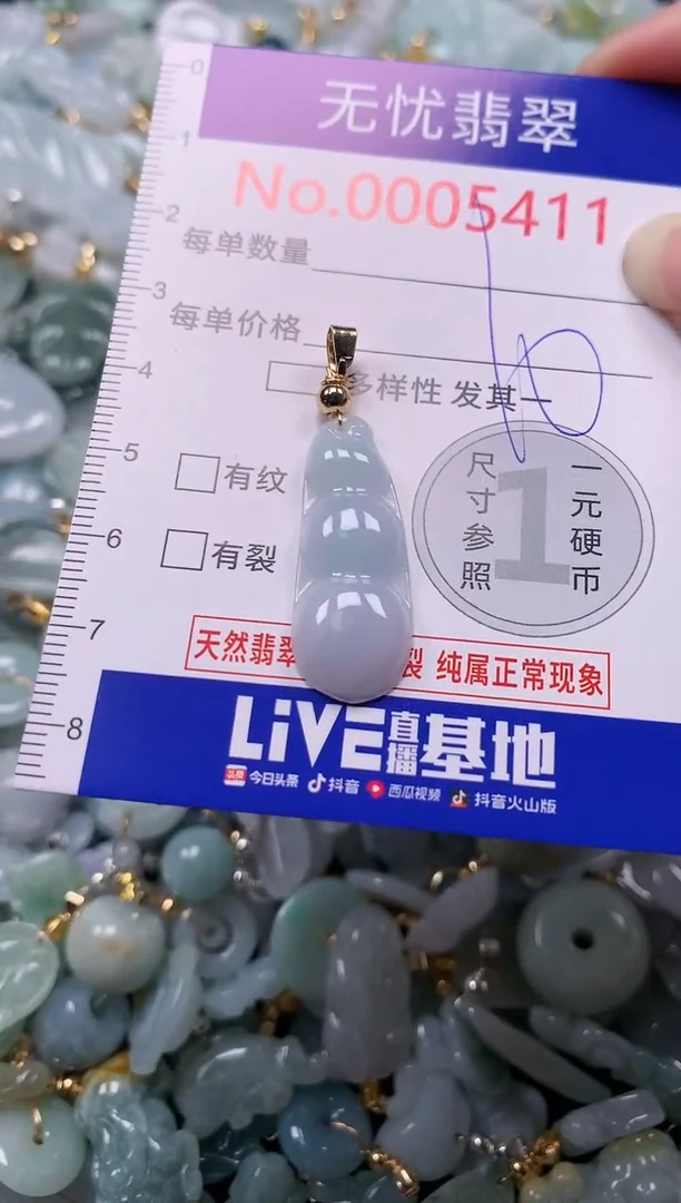 吊坠(不含链)未镶嵌翡翠5411